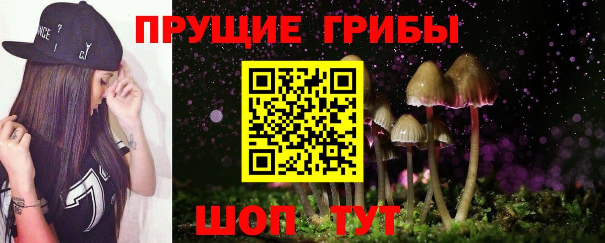 Галлюциногенные грибы прущие грибы Павловский Посад